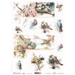 Papier ryżowy A4 R0859 , ptaszki